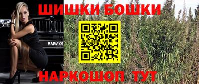 гашик Бердск