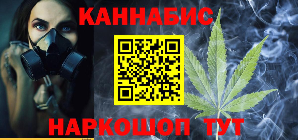 Бошки Шишки сатива Тверь